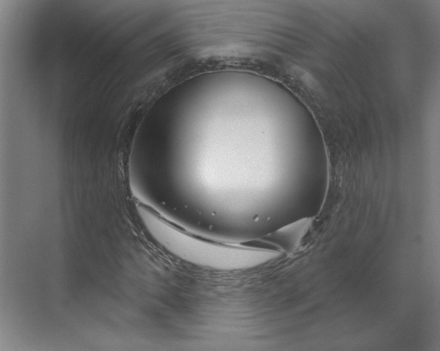 X0000070181062200606091501