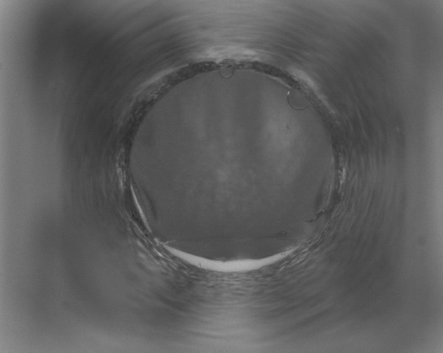 X0000070181063200606091501