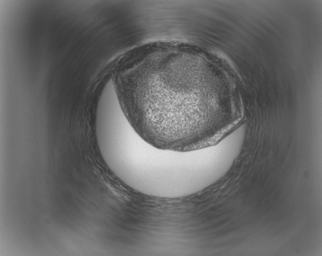 X0000070181064200606091501