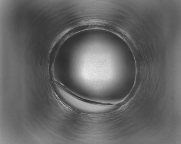 X0000070181066200606091501