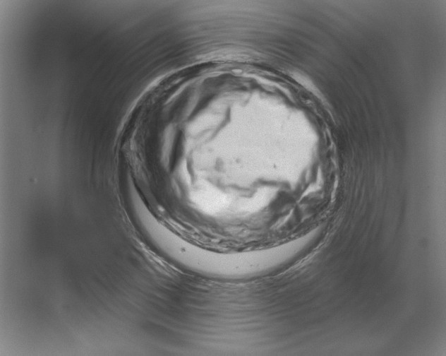 X0000070181067200606091501