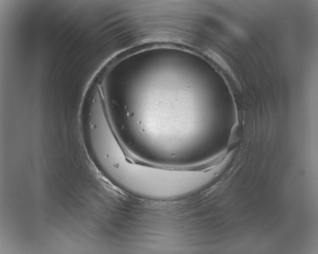 X0000070181068200606091501