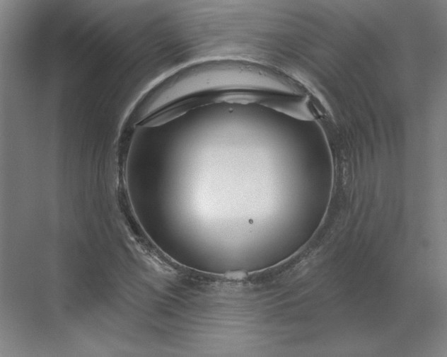 X0000070181069200606091500