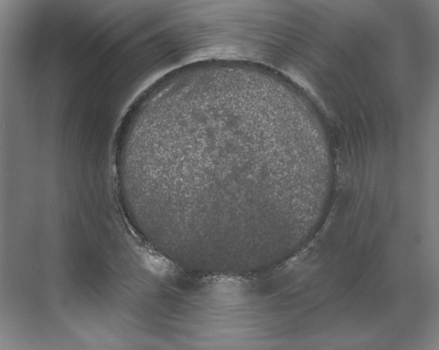 X0000070181070200606091500