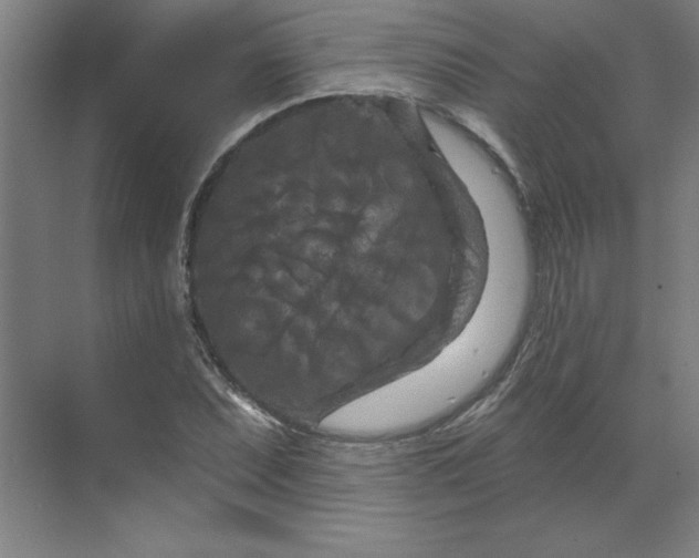 X0000070181071200606091500