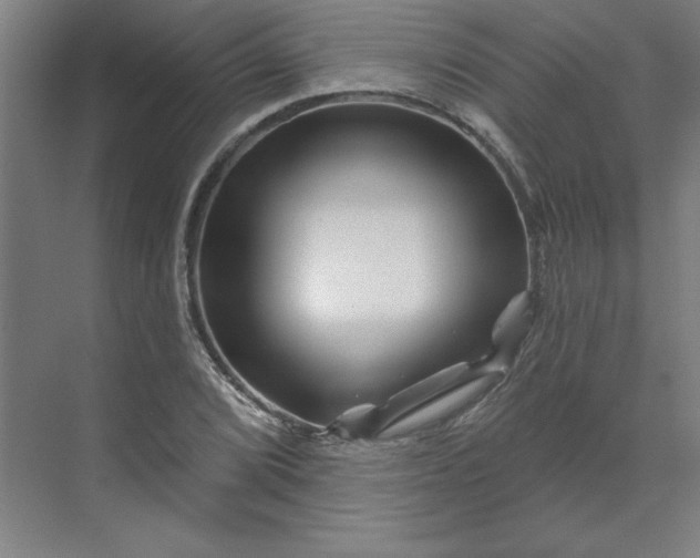 X0000070181072200606091500