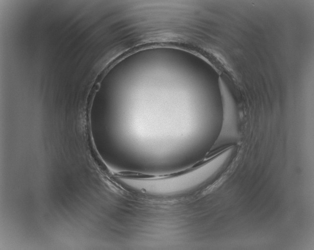 X0000070181073200606091500