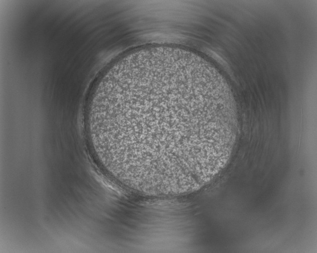 X0000070181074200606091500