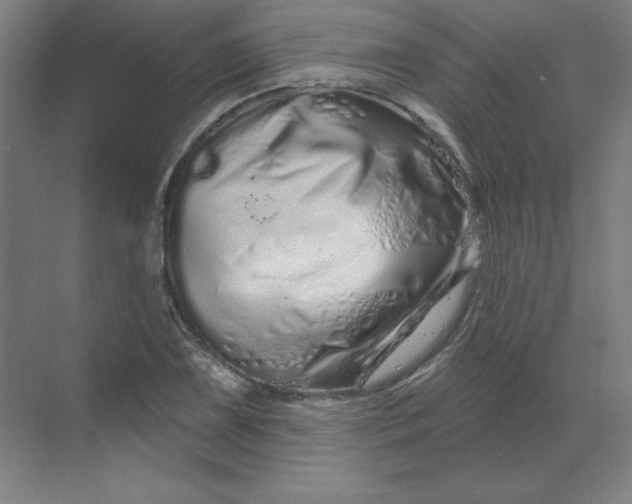 X0000070181075200606091500