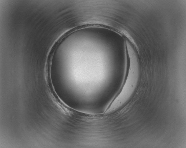 X0000070181076200606091500