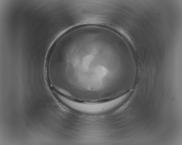 X0000070181077200606091500