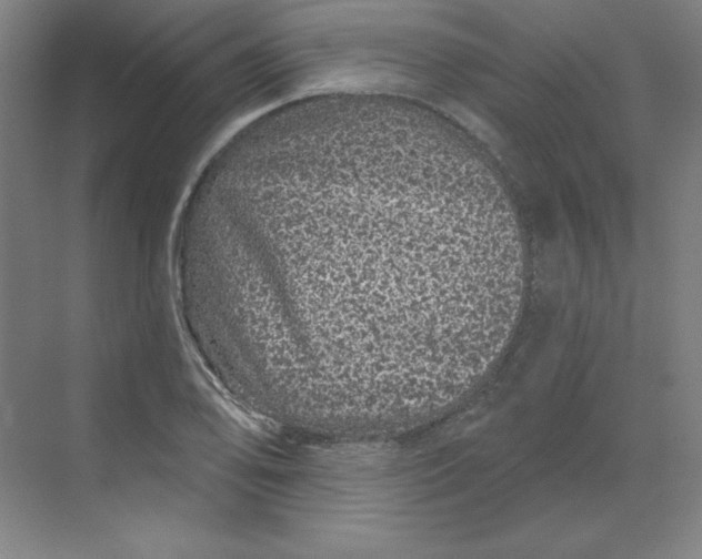 X0000070181078200606091500