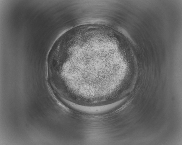 X0000070181079200606091500