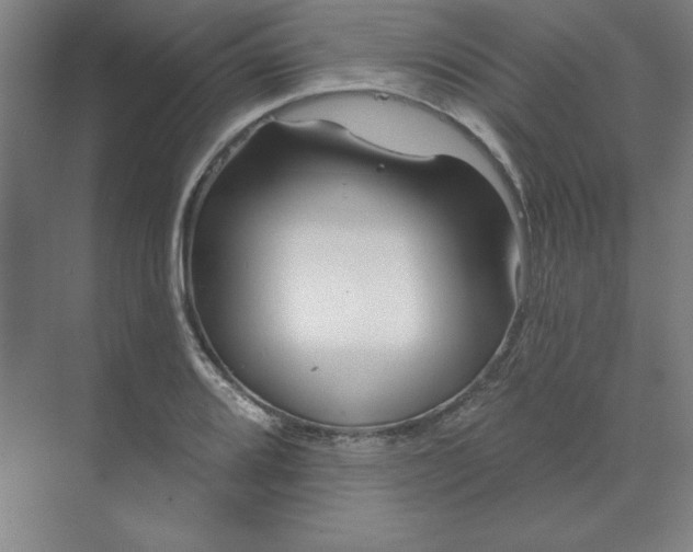 X0000070181080200606091500