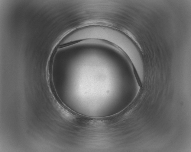 X0000070181082200606091500