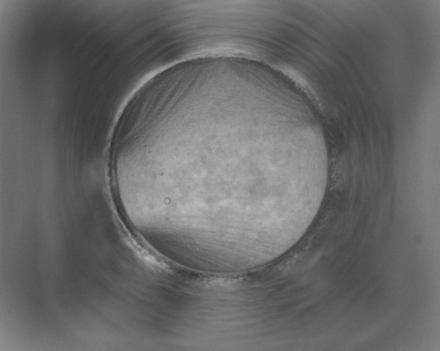 X0000070181086200606091500