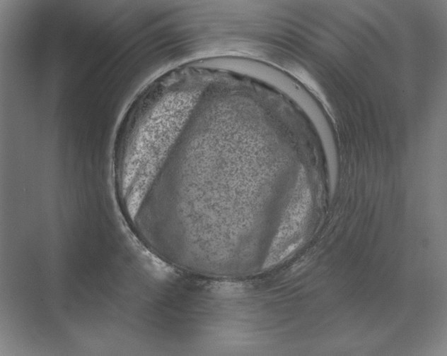 X0000070181088200606091500