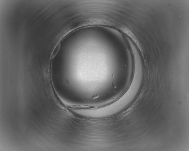 X0000070181089200606091500