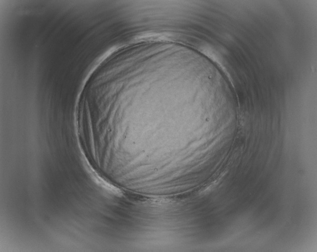 X0000070181090200606091500