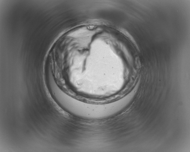 X0000070181091200606091500