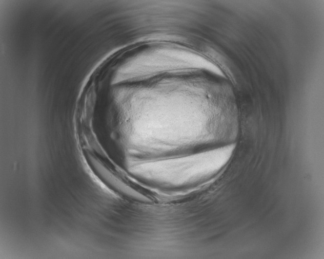 X0000070181092200606091500