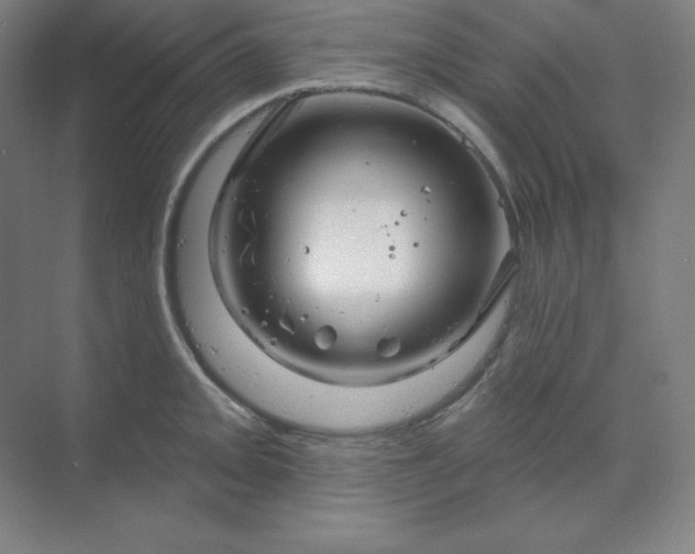 X0000070181093200606091500