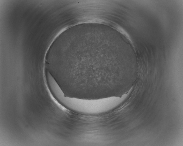 X0000070181095200606091500