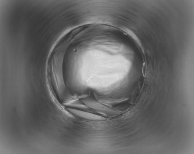 X0000070181096200606091500