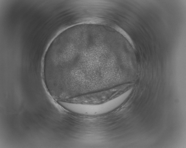 X0000070181099200606091500