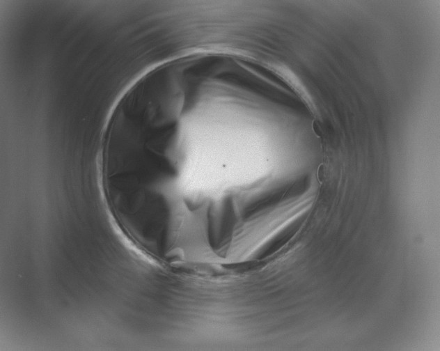 X0000070181100200606091500