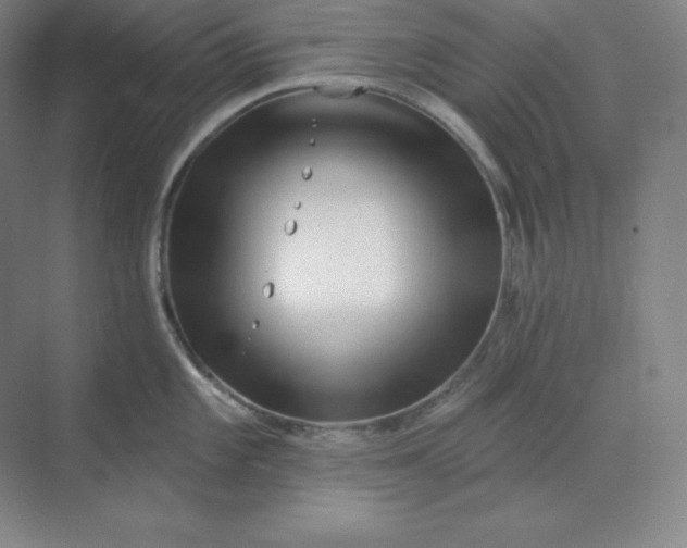 X0000070181101200606091500