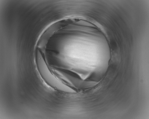 X0000070181102200606091500