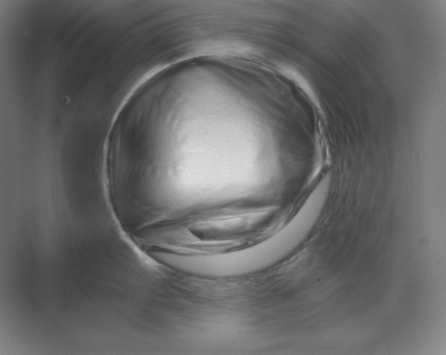 X0000070181103200606091500