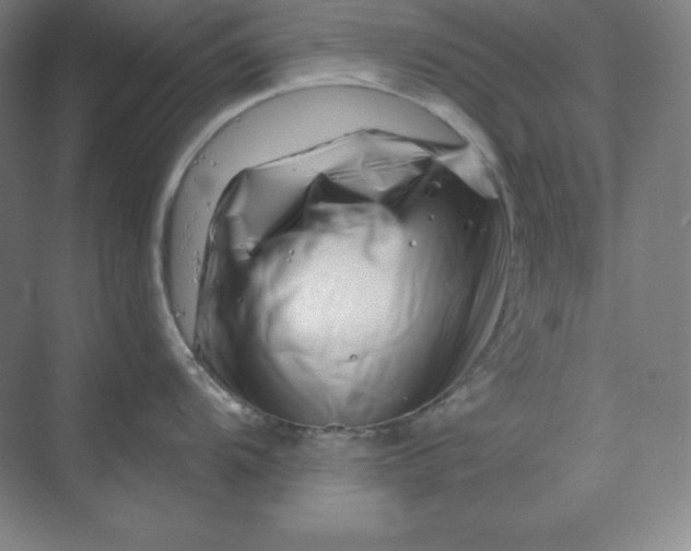 X0000070181104200606091500