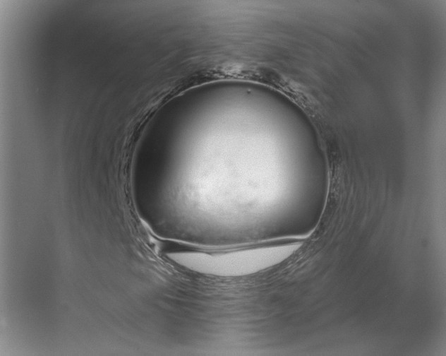 X0000070181105200606091459