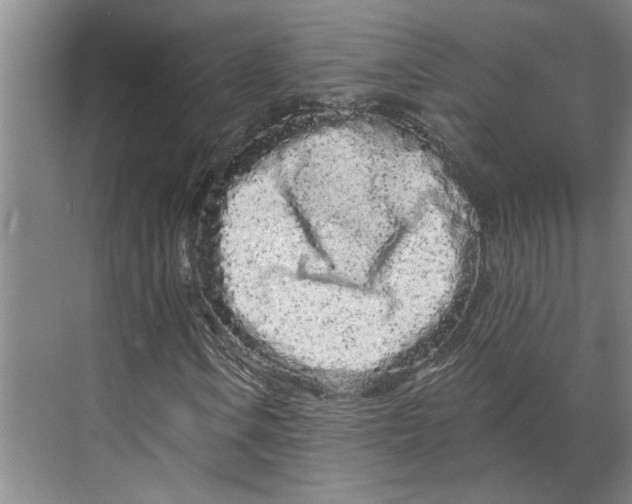 X0000070181106200606091459