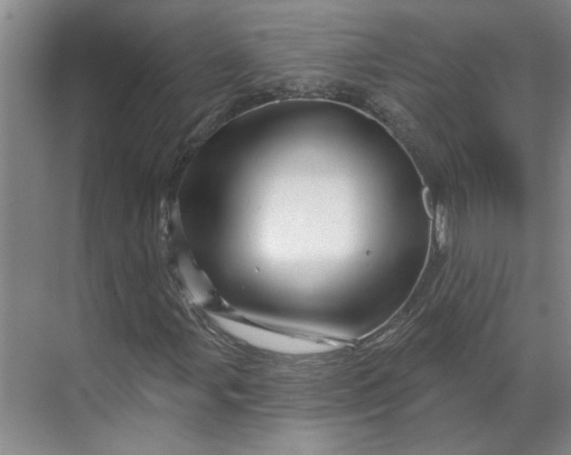 X0000070181107200606091459