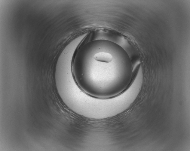 X0000070181110200606091459