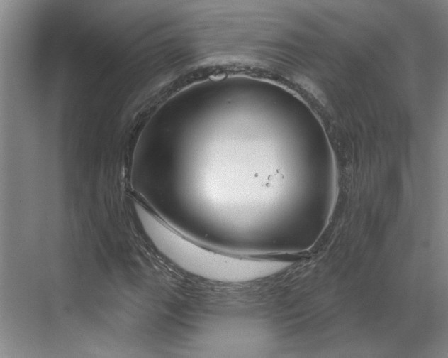 X0000070181111200606091459