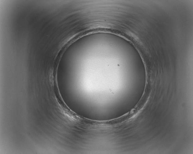 X0000070181113200606091459