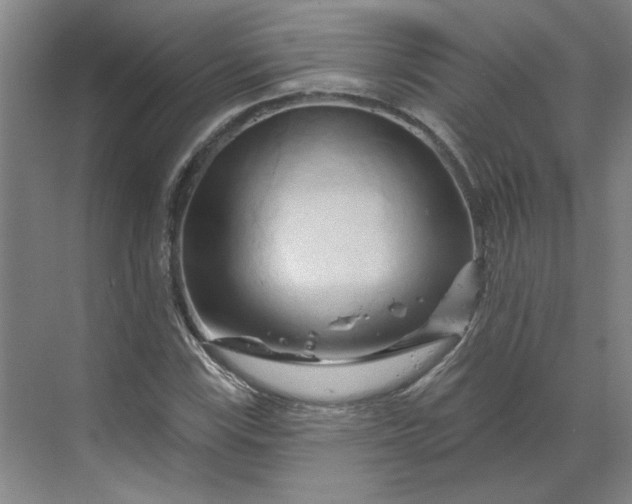 X0000070181115200606091459