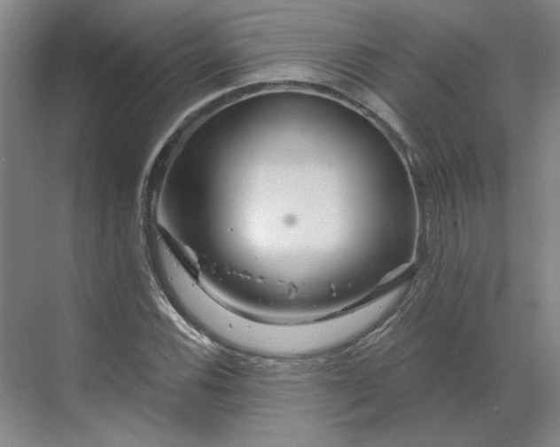 X0000070181116200606091459