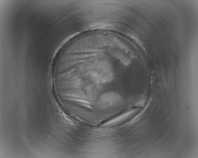 X0000070181117200606091459