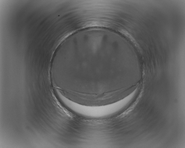 X0000070181121200606091459