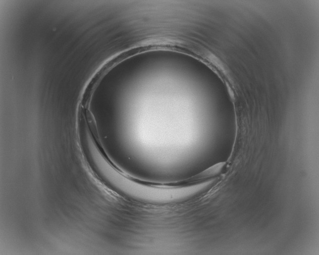 X0000070181124200606091459