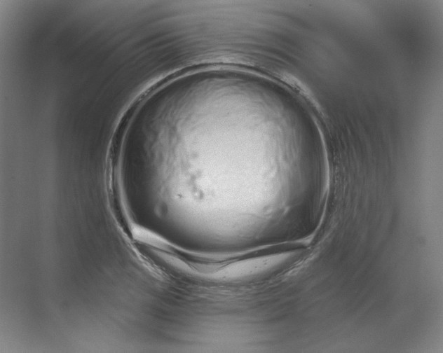 X0000070181125200606091459