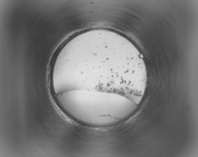 X0000070181126200606091459