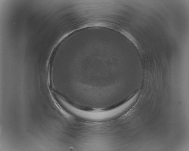 X0000070181127200606091459