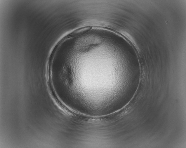 X0000070181128200606091459