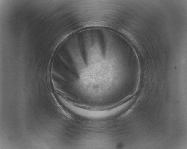 X0000070181129200606091459